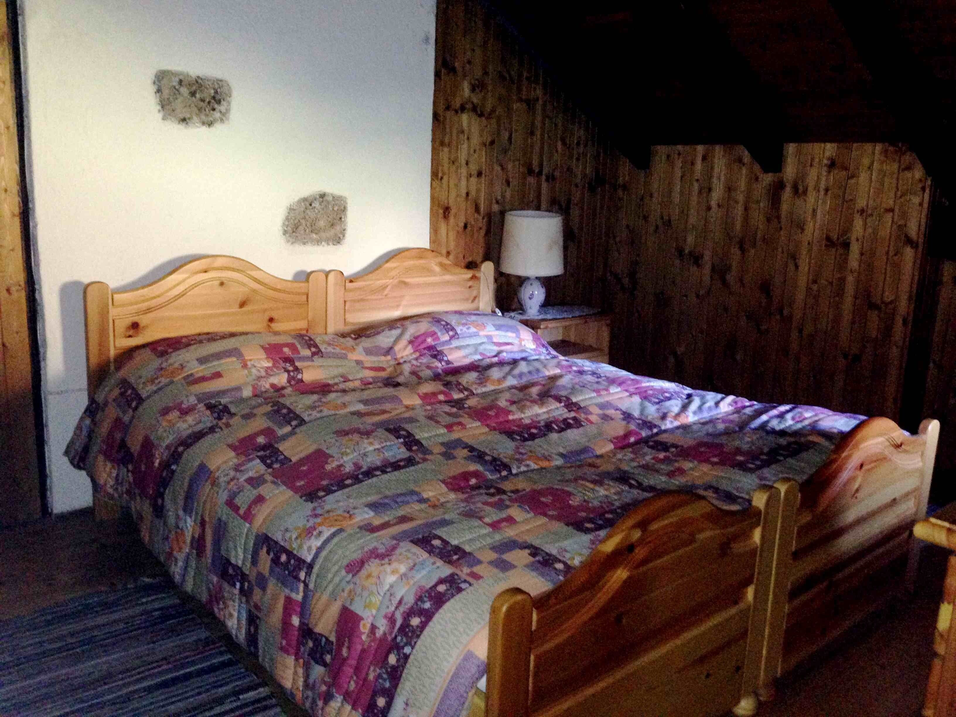  In the Dolomites of Trentino with your 4-legged friends