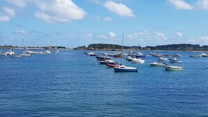 En havn med flere både fortøjret i rolige vand.
