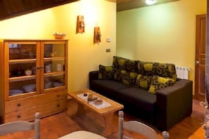 TV, fireplace, books