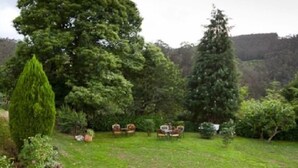 A lush garden with a variety of trees and a small seating area with chairs and a table. - Rural Apartment Casa El Llombo, ideal to disconnect, surrounded by nature. (Franco (El))