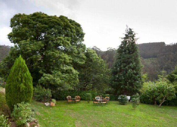 Un exuberante jardín con diversos árboles y una pequeña zona de estar con sillas y una mesa.