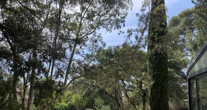 Cabanon provençal prés de SANARY, dans pinÚde , piscine privée