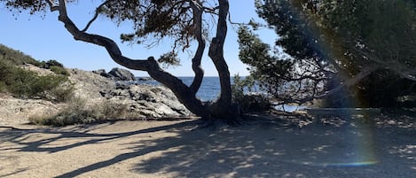 Ranta lähistöllä