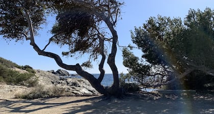 Cabanon provençale