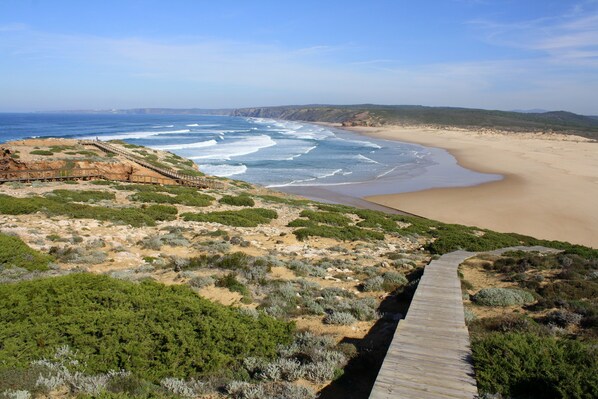 Playa en los alrededores y toallas de playa 