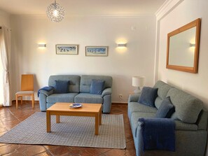 Téléviseur connecté, lecteur de DVD, livres