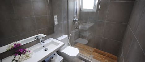 Baignoire, sĂšche-cheveux, serviettes fournies, papier toilette