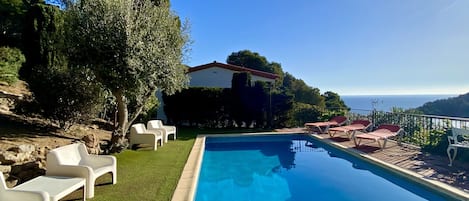 Outdoor pool, sun loungers