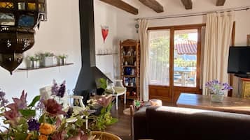 TV, fireplace, books