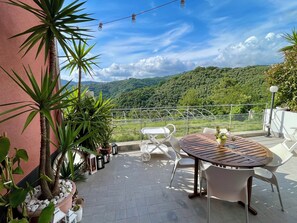 Une terrasse avec une table et des chaises, des plantes en pot et une vue sur une colline verdoyante.