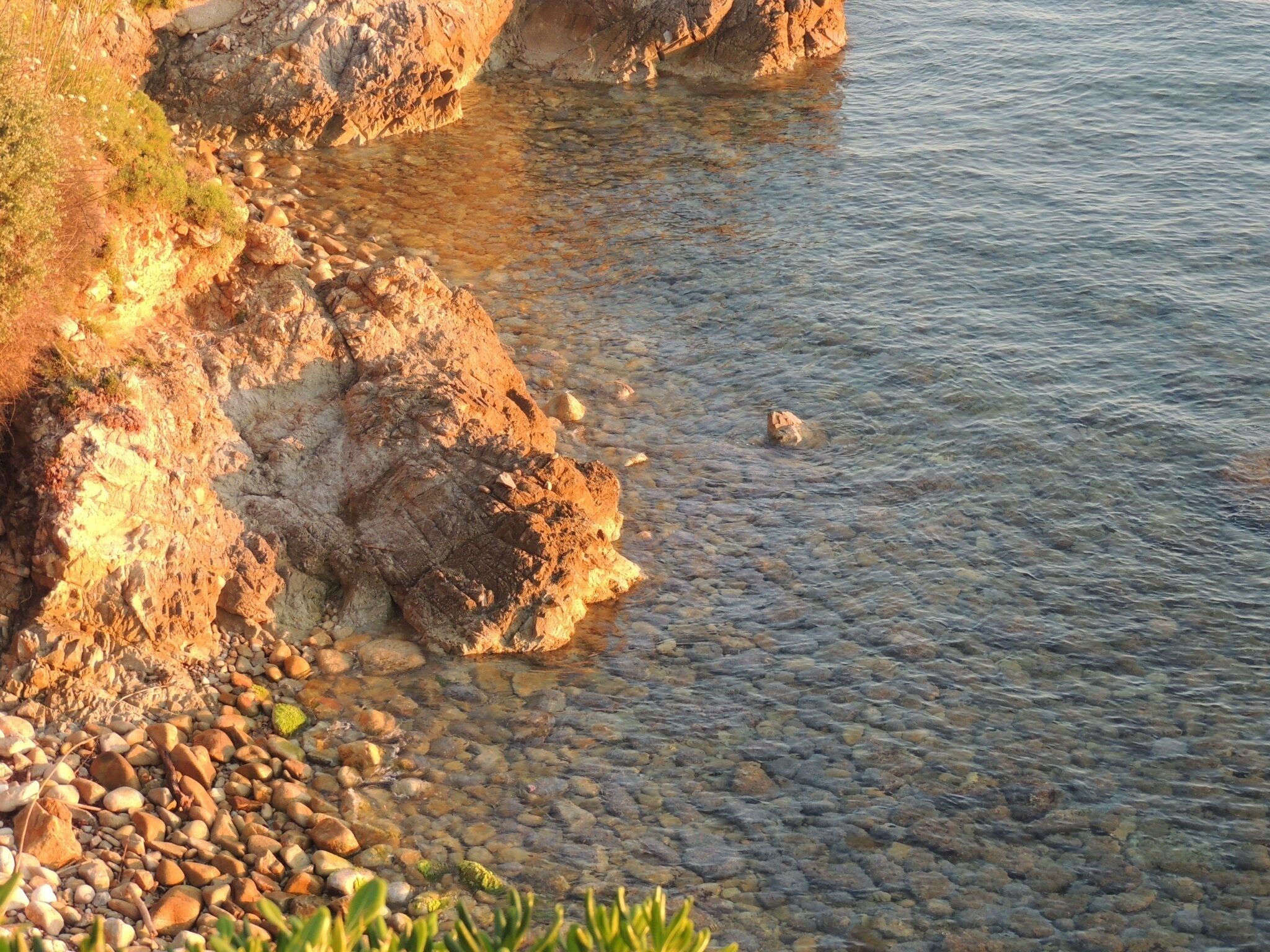 A rocky shoreline with clear water and pebbles.