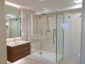 Ensemble douche/baignoire, sèche-cheveux, serviettes fournies, savon