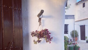 A doorway with a hanging plant and a rustic door.