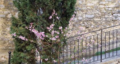 Maison ardéchoise du 18ÚS restaurée, avec vaste patio et jardin clos arboré.