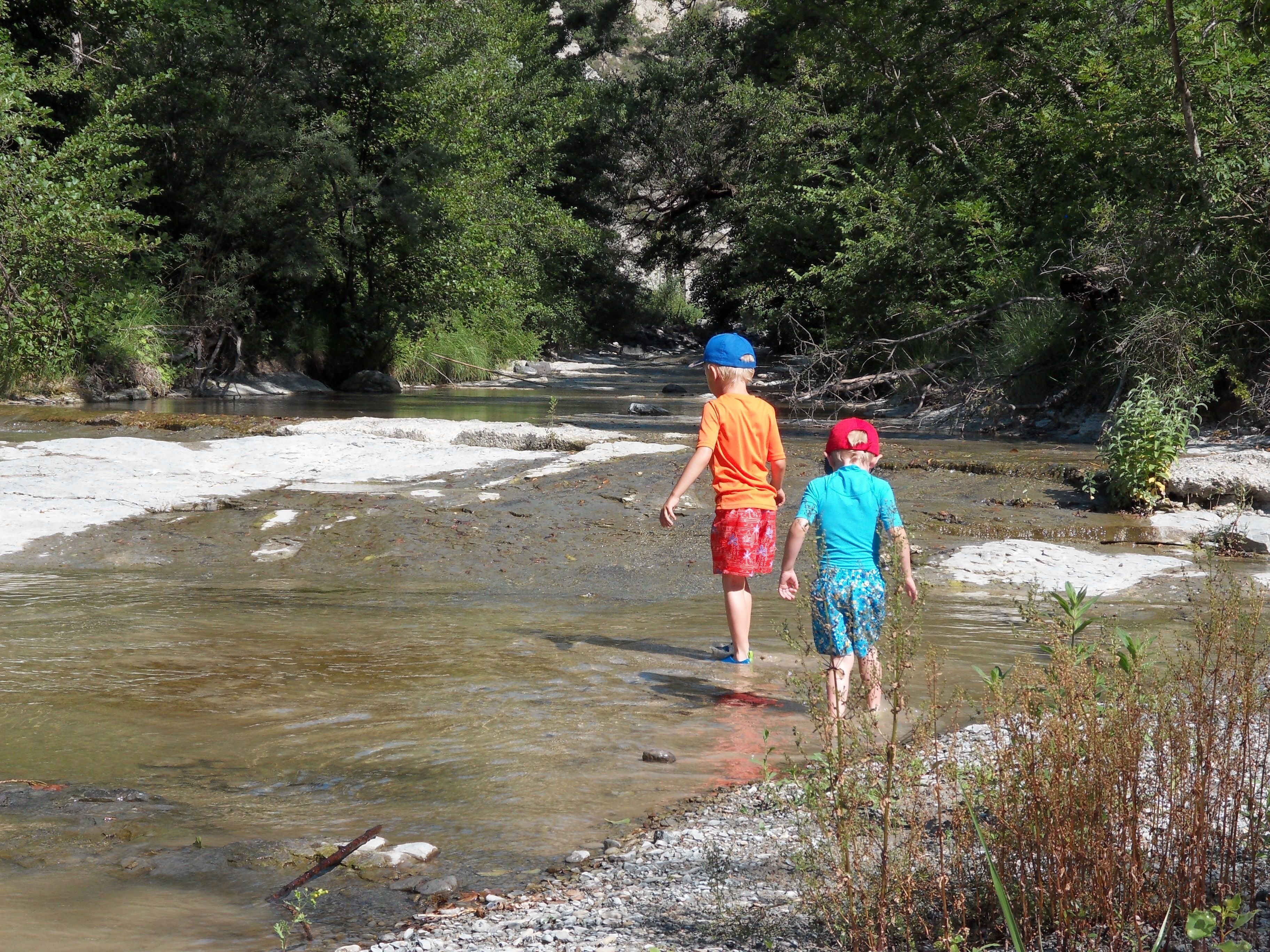 Dos niños caminando por un río poco profundo rodeado de abundante vegetación.