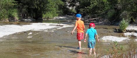 Dos niños caminando por un río poco profundo rodeado de abundante vegetación.
