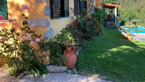 Una casa con fachada amarilla, contraventanas verdes y un jardín con plantas variadas y una maceta de terracota grande.