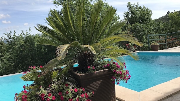 Una piscina con un macetero de palmera y flores rosadas al frente.