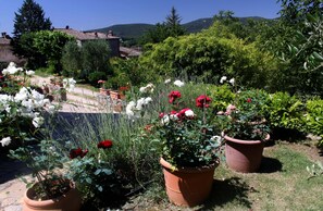 Àrea exterior de l'allotjament