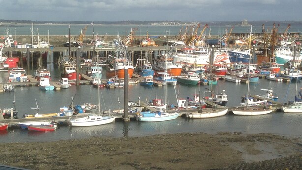 A harbor with numerous boats docked at piers. - Charming Fisherman's Cottage in lovely fishing port close to Penzance (Newlyn)