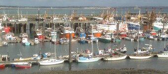 Charming Fisherman's Cottage in lovely fishing port close to Penzance