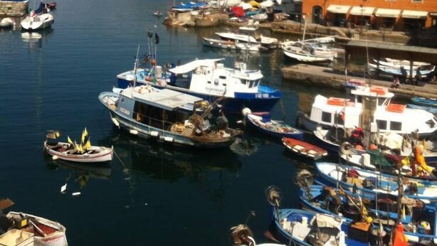 Ein Hafen mit vor Anker liegenden Booten, ein Gebäude mit vielen Fenstern und eine gebirgige Kulisse.