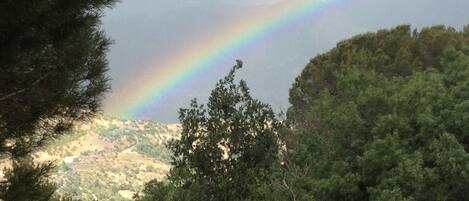 A landscape with a rainbow, dense green trees, and a hilly background.