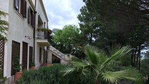Un edificio con una escalera que lleva a un balcón, rodeado de abundante follaje y plantas en flor.