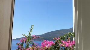 Vista pela janela, com flores cor-de-rosa em primeiro plano e céu azul límpido.