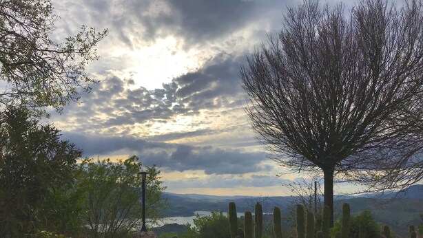 A desert landscape with cacti, a tree, and a view of distant mountains under a cloudy sky.