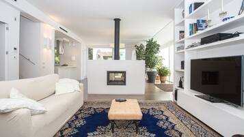 Smart TV, chimenea, reproductor de DVD, libros