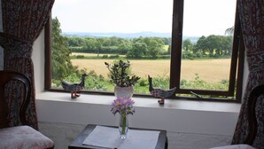 A room with a view of a green landscape through a window, a vase with flowers on a table, and two bird figurines on the windowsill.