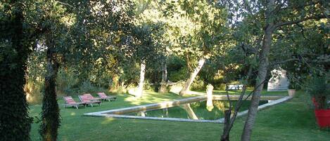 A garden with a pool, lounge chairs, and a statue.