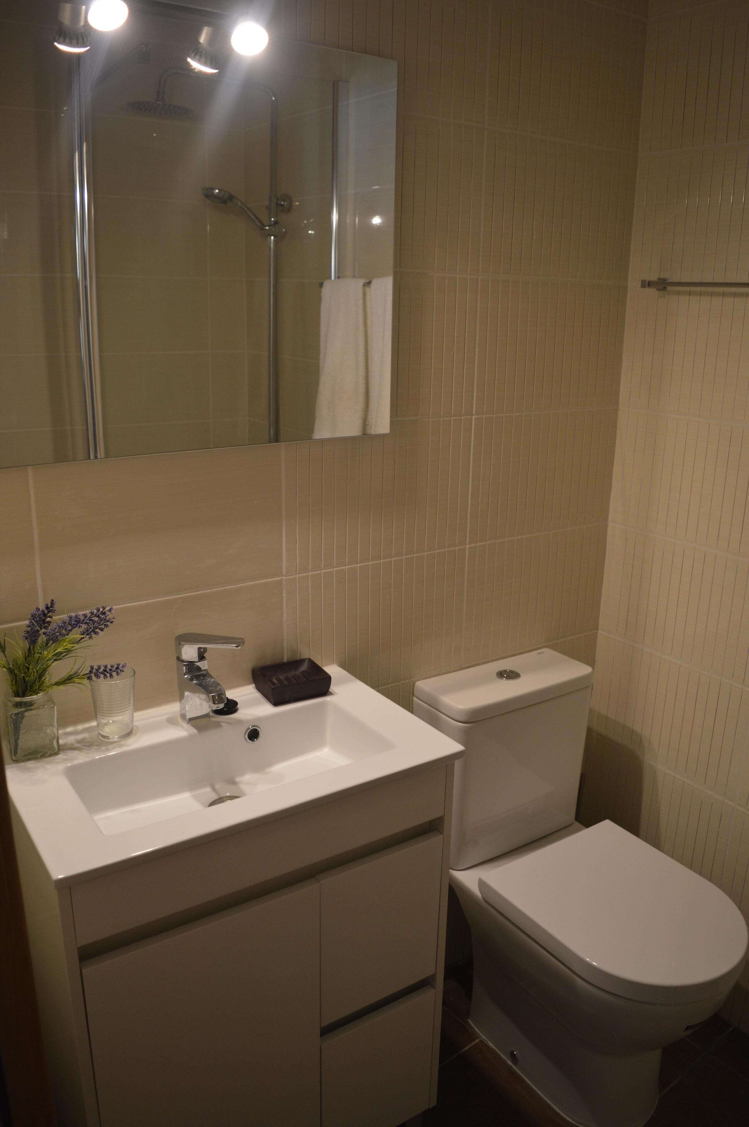 A bathroom with a shower, toilet, sink, and mirror.