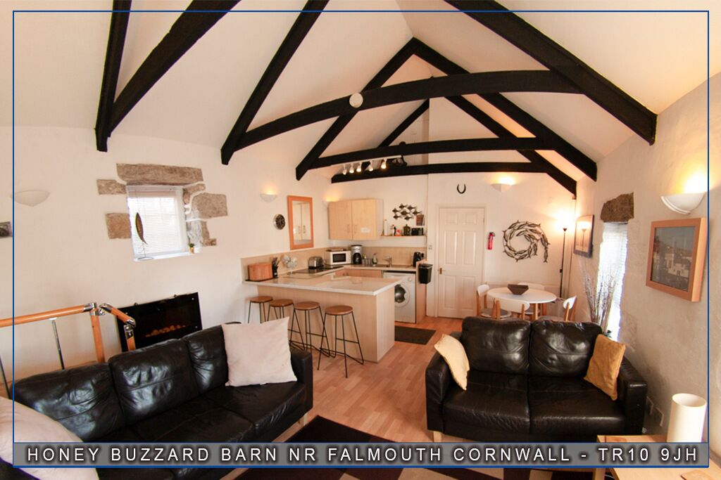 Honey Buzzard - A Character - Self Catering Barn, Rural Location, Dog Friendly -