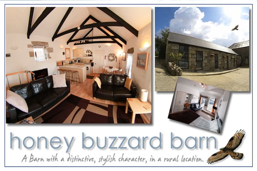 Honey Buzzard - A Character - Self Catering Barn, Rural Location, Dog Friendly -