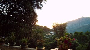 Property grounds - Cool under the Corsican sun (Ajaccio)