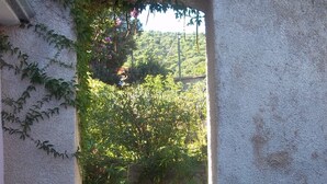 Un sendero de piedra que atraviesa un arco de piedra rodeado de follaje.