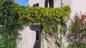 Un callejón estrecho con un edificio a un lado y un jardín al otro.
