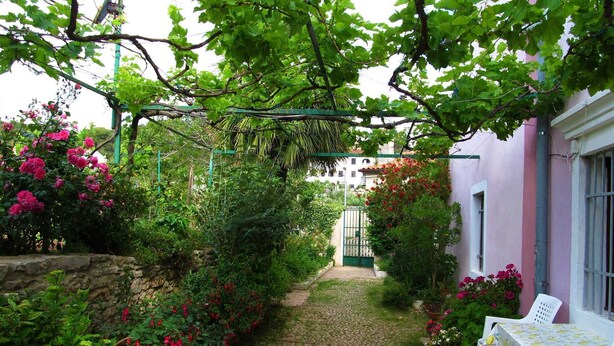 Un sendero de jardín que lleva a un edificio blanco de fachada rosa, rodeado de abundante vegetación y plantas en flor.