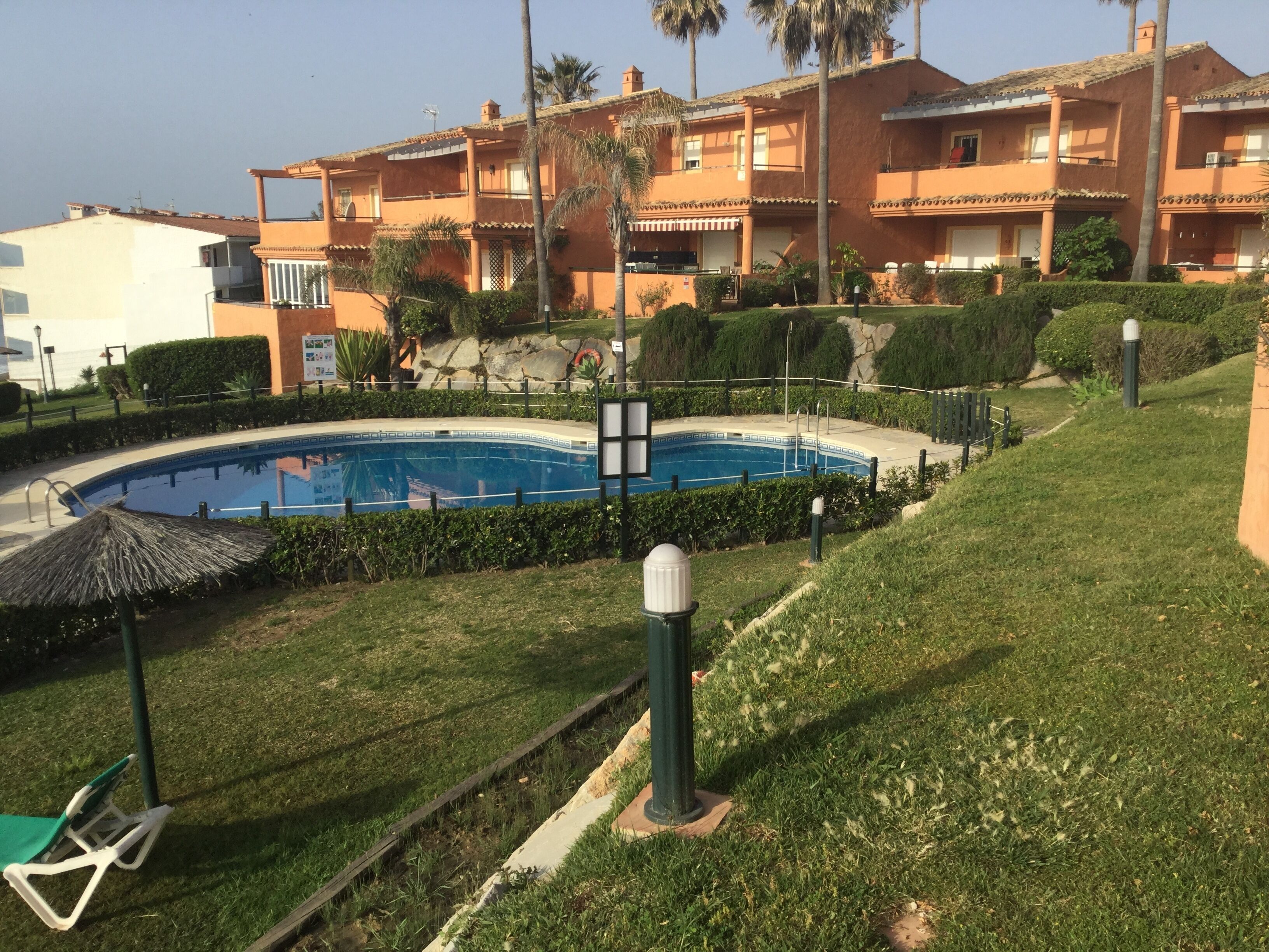 A swimming pool surrounded by well-maintained grass and a few palm trees.