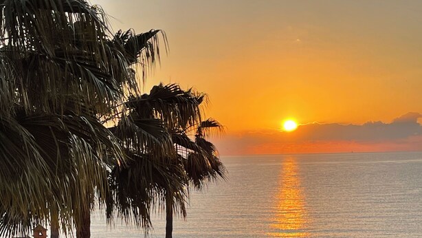 A terrace with a view of the sunset over the sea, a palm tree, and a potted plant.