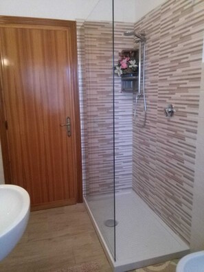 Regadera, secadora de cabello, bidet, toallas