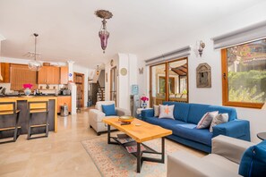 Smart TV, fireplace, table football, books