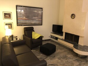 TV connectée, cheminée, livres, vidéothèque