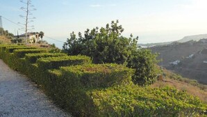 A rural landscape with a gravel path, neatly trimmed hedges, and a small building in the background. - House with Private Pool (Herrera) (Arenas)