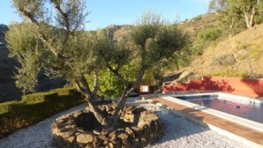 A swimming pool surrounded by a rocky garden with olive trees. - House with Private Pool (Herrera) (Arenas)