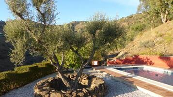 Piscine couverte