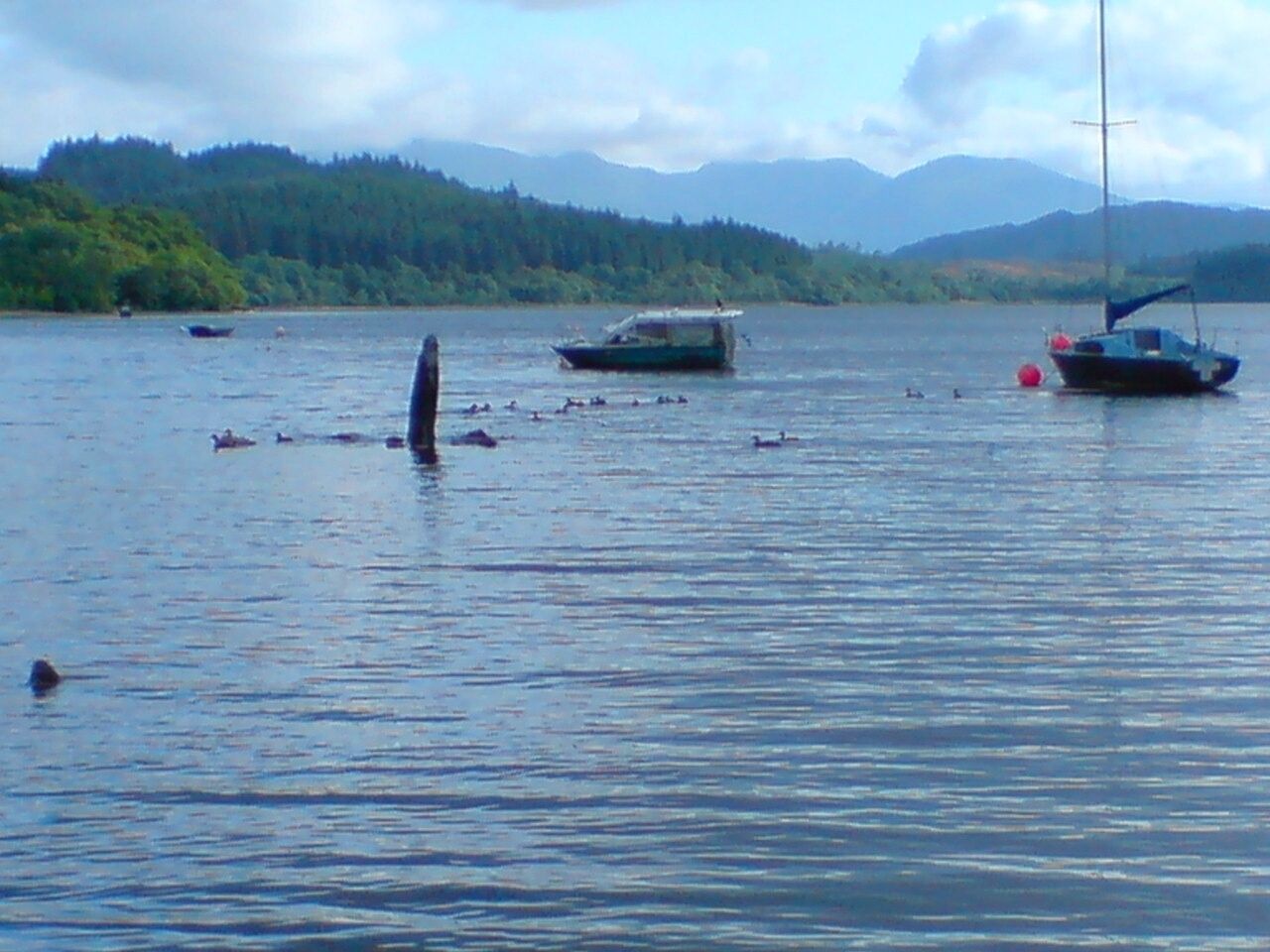 A lake with boats, a sailboat, and a forested hill in the background.