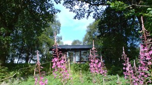 A garden with pink flowers and a building in the background. - SLOY CABIN is a charming cabin in a stunning loch side location, with hot tub. (Taynuilt)